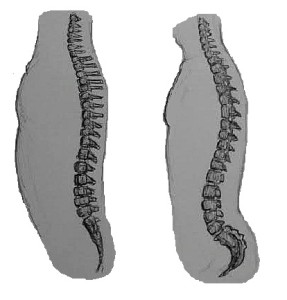 5.8